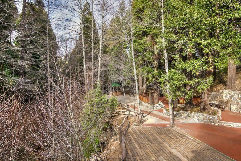 לייק ארוהד Arrowhead Tree Top Lodge מראה חיצוני תמונה