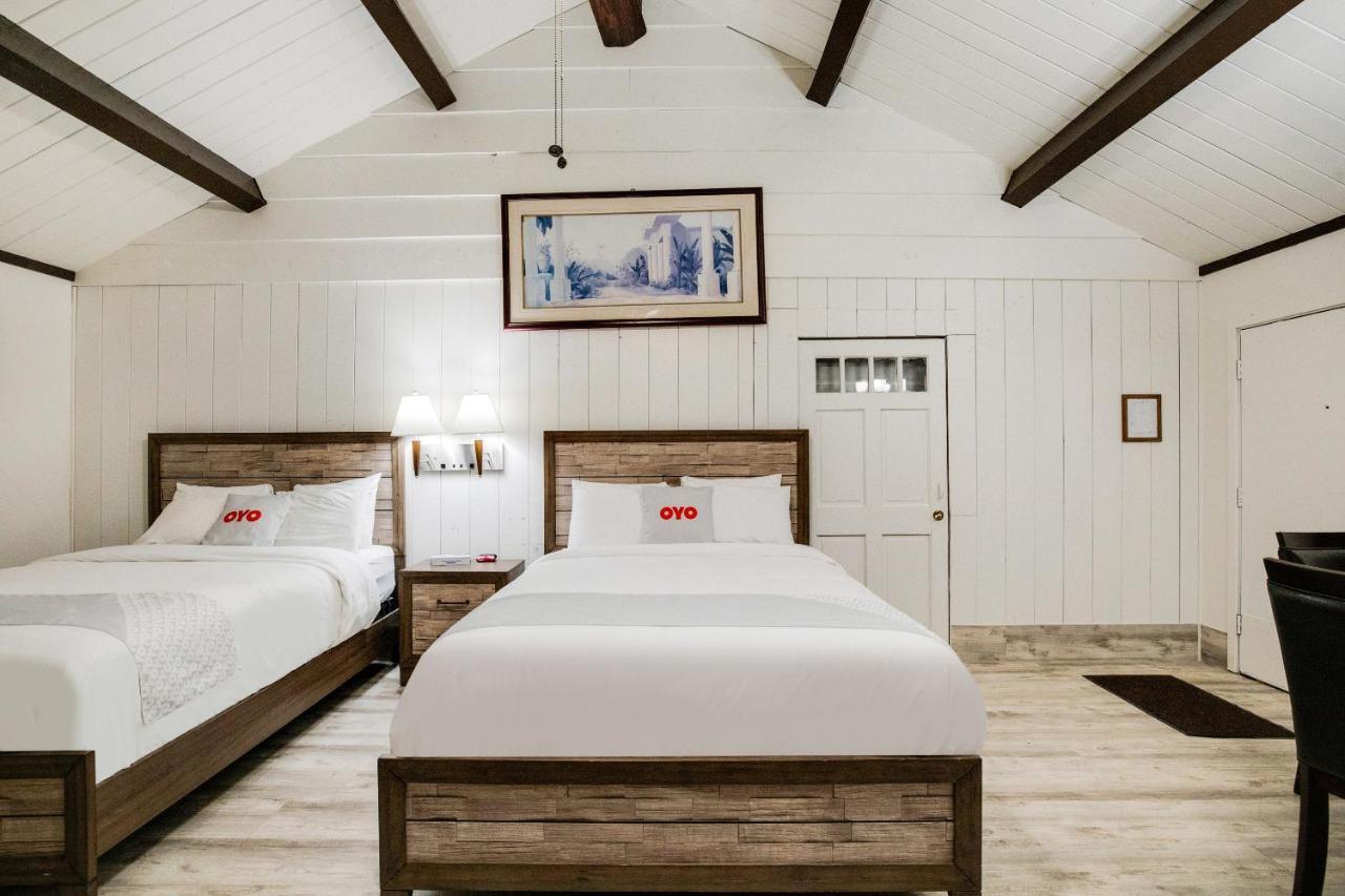 לייק ארוהד Arrowhead Tree Top Lodge מראה חיצוני תמונה